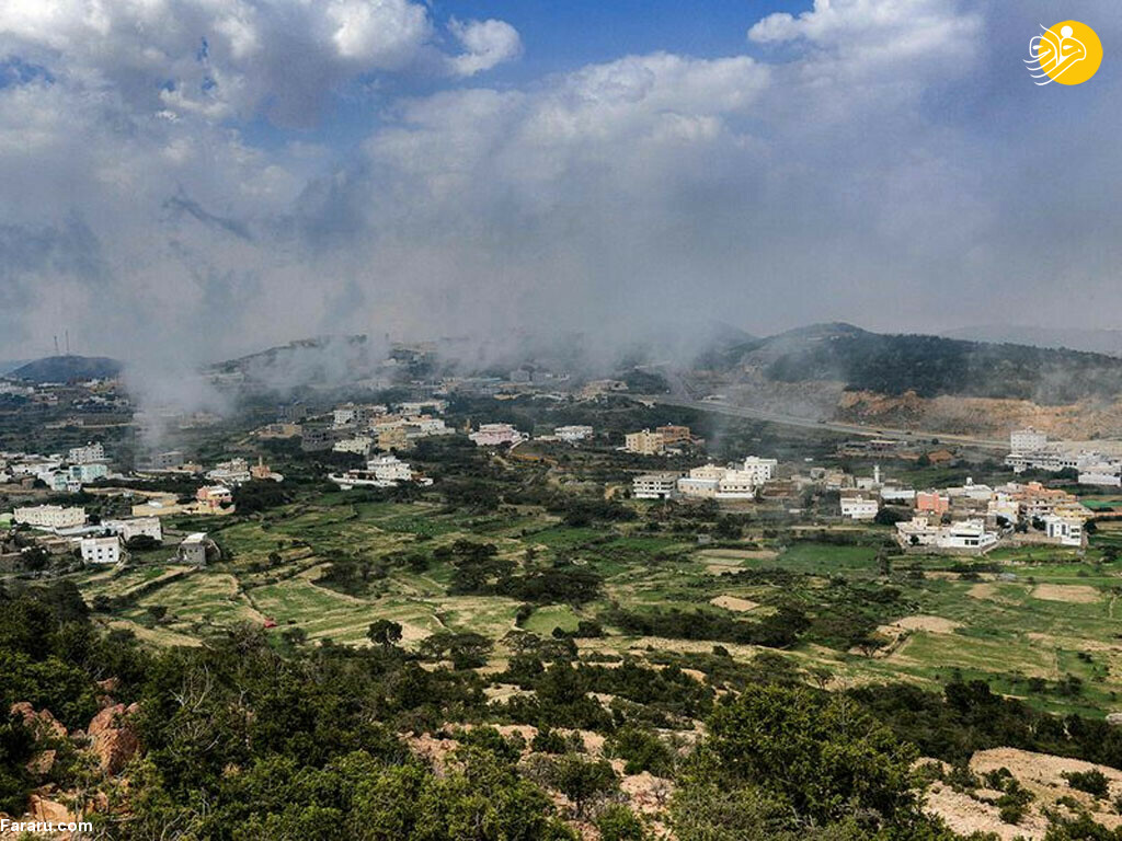 (تصاویر)