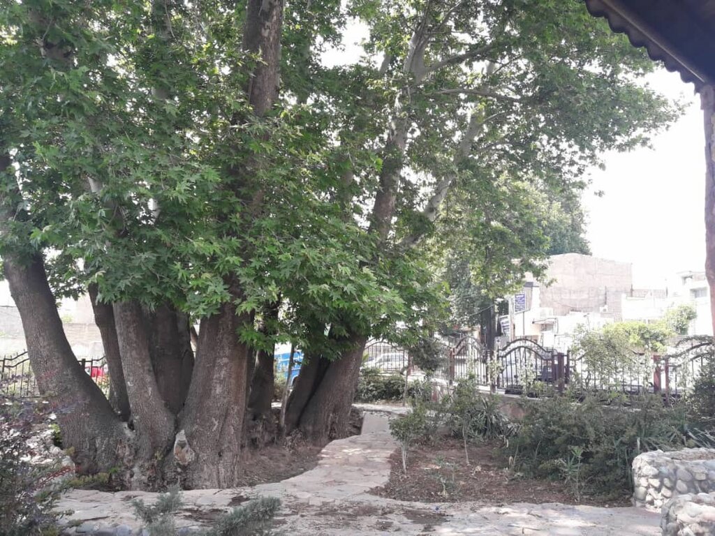 کشف سکه‌های تاریخی 
