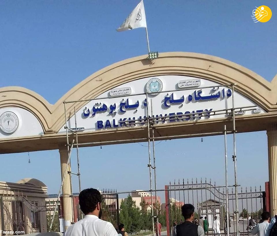 (عکس)