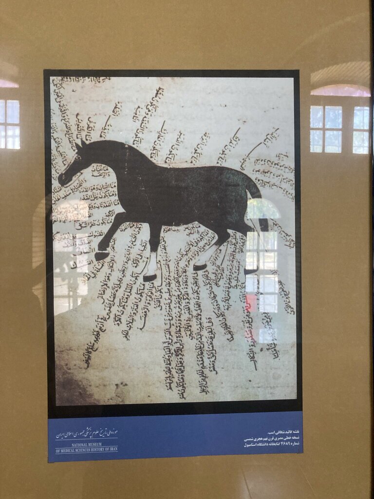 جمجمه پادشاه عیلام