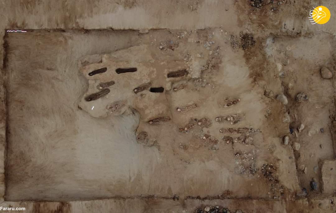 (تصاویر)
