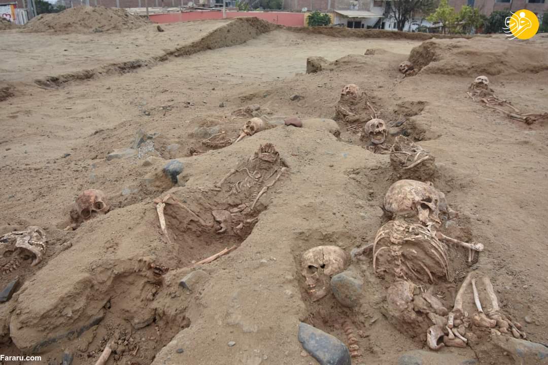 (تصاویر)