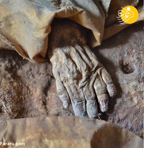 عکس مومیایی نوزاد