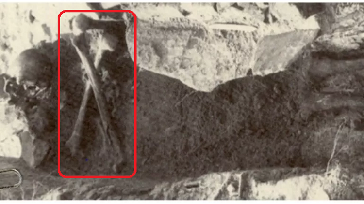 خون اشام