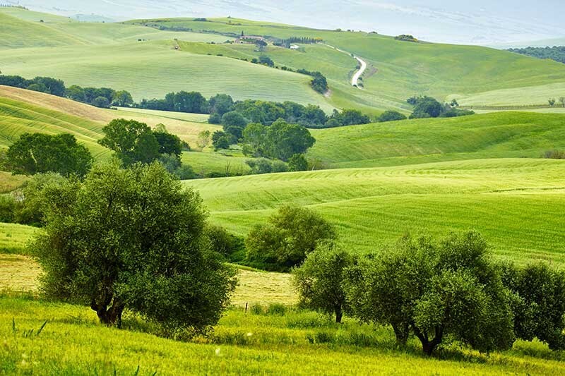 بهترین منطقه شمال برای خرید زمین