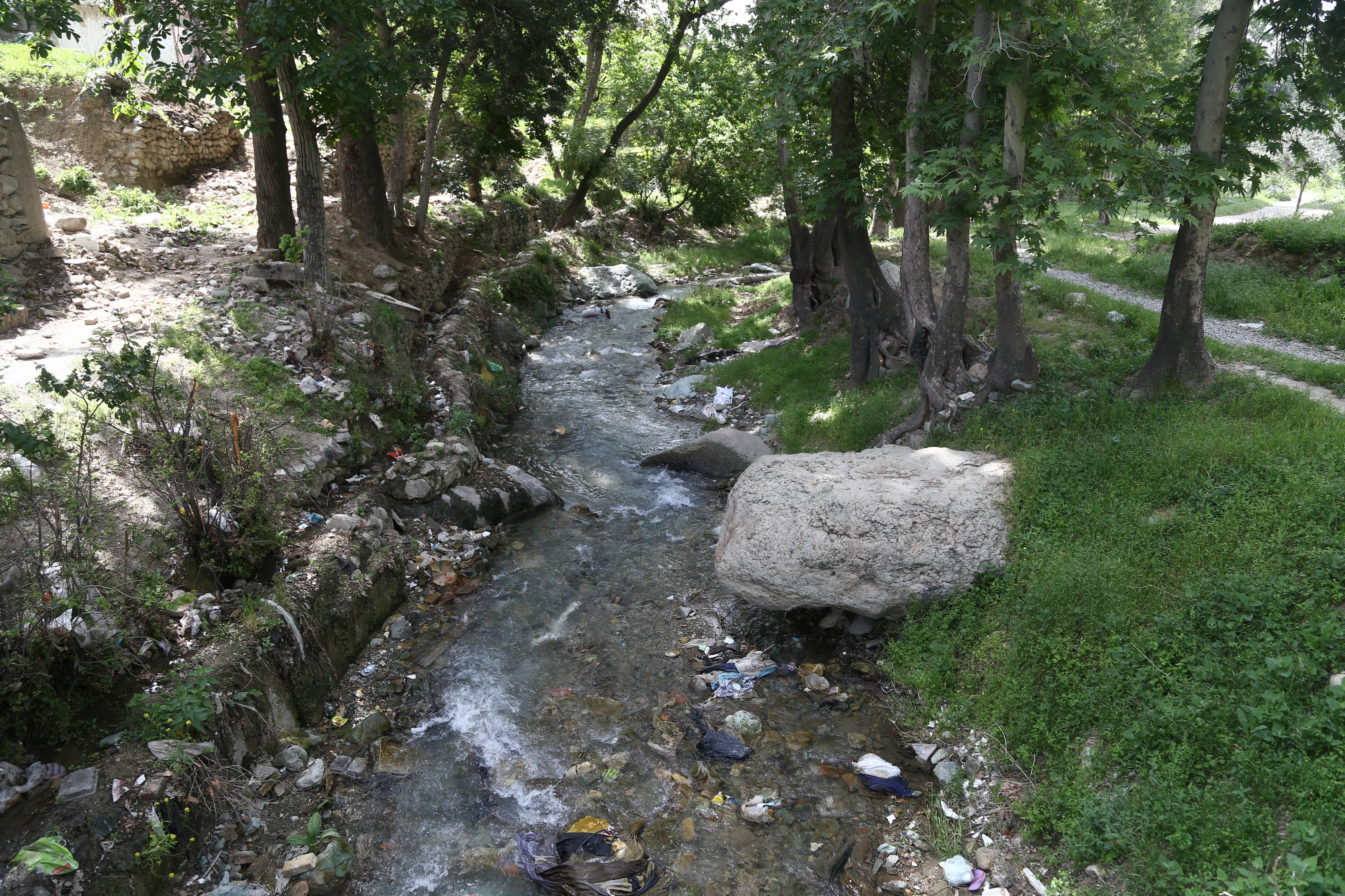 «فره‌زاد»