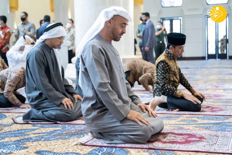 (تصاویر)