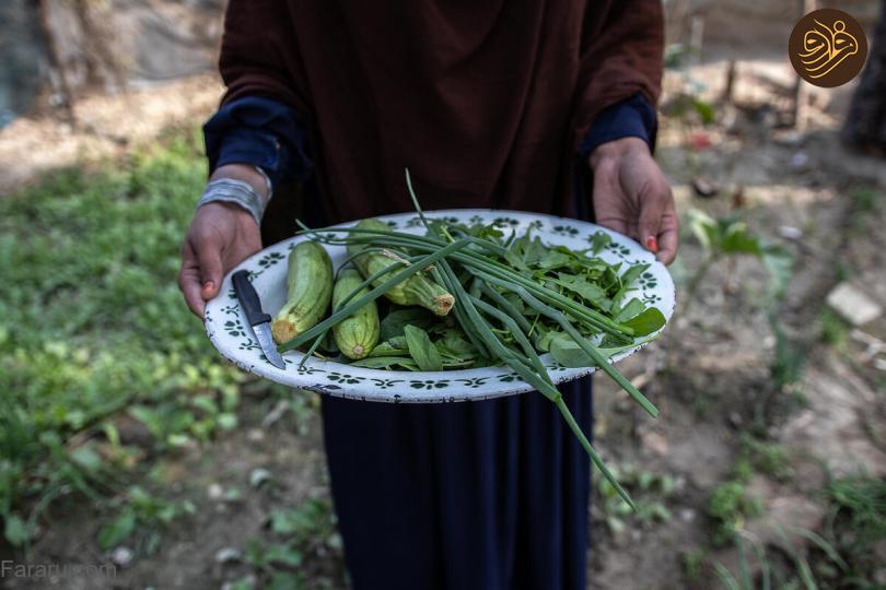 (تصاویر)