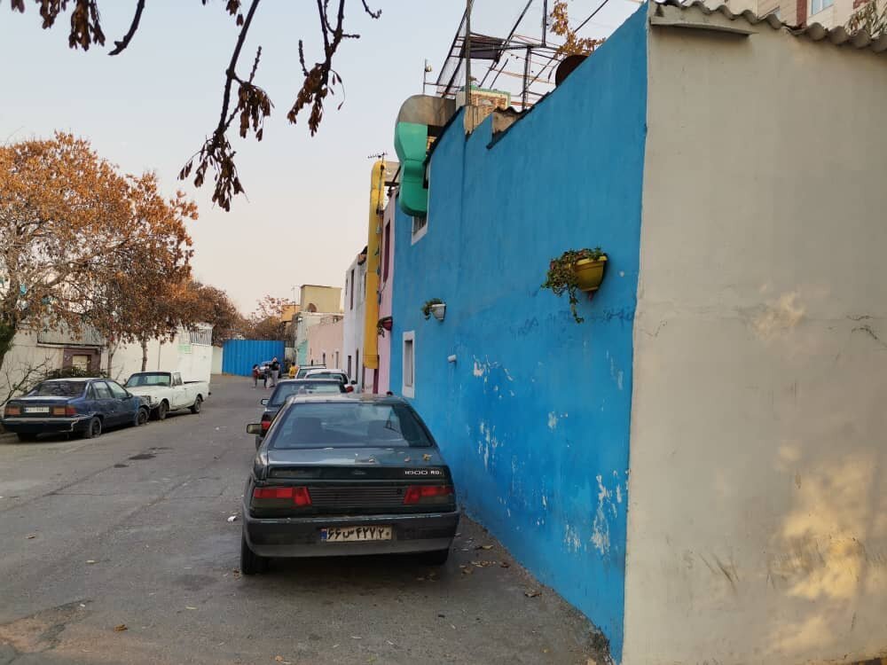موش‌های نروژی این محله از در خانه‌ها تو می‌آیند!