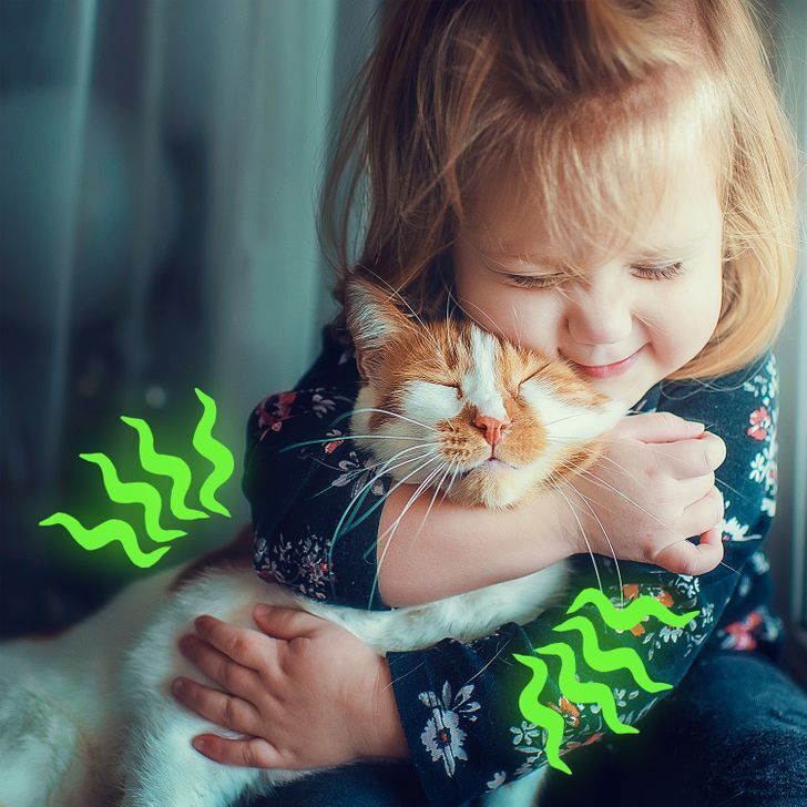 پاسخ به ۱۲ سؤال ساده که همیشه دلمان می‌خواست جوابشان را بدانیم