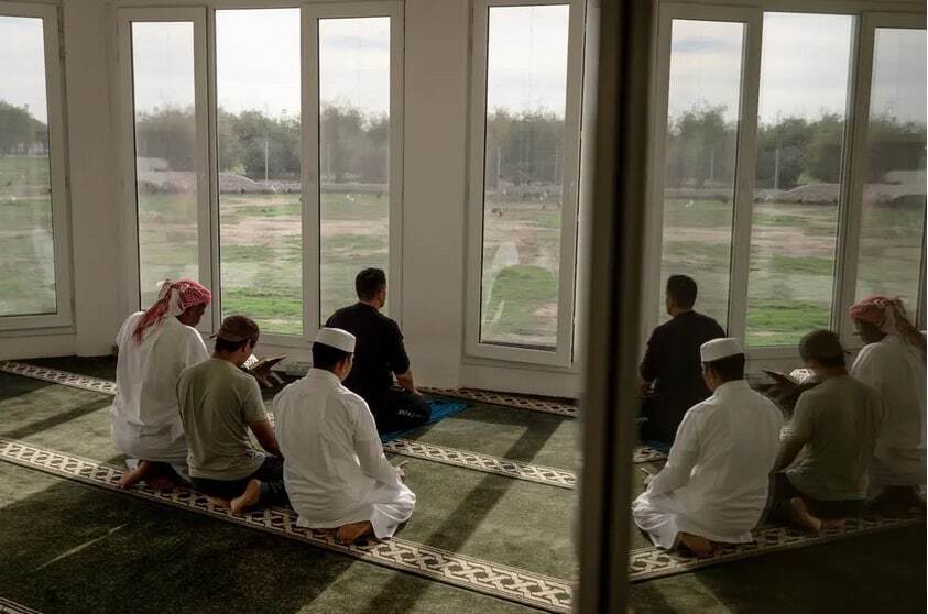 قطر