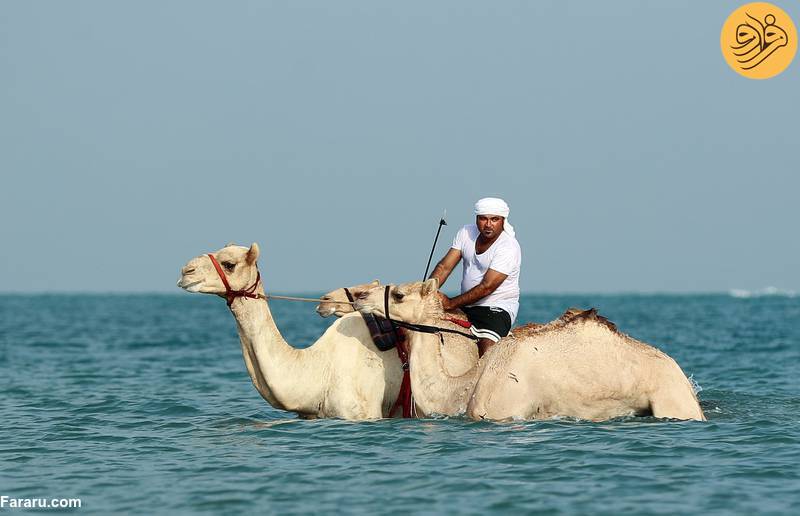 (تصاویر)