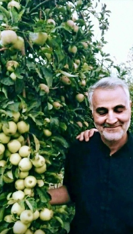 (تصاویر)