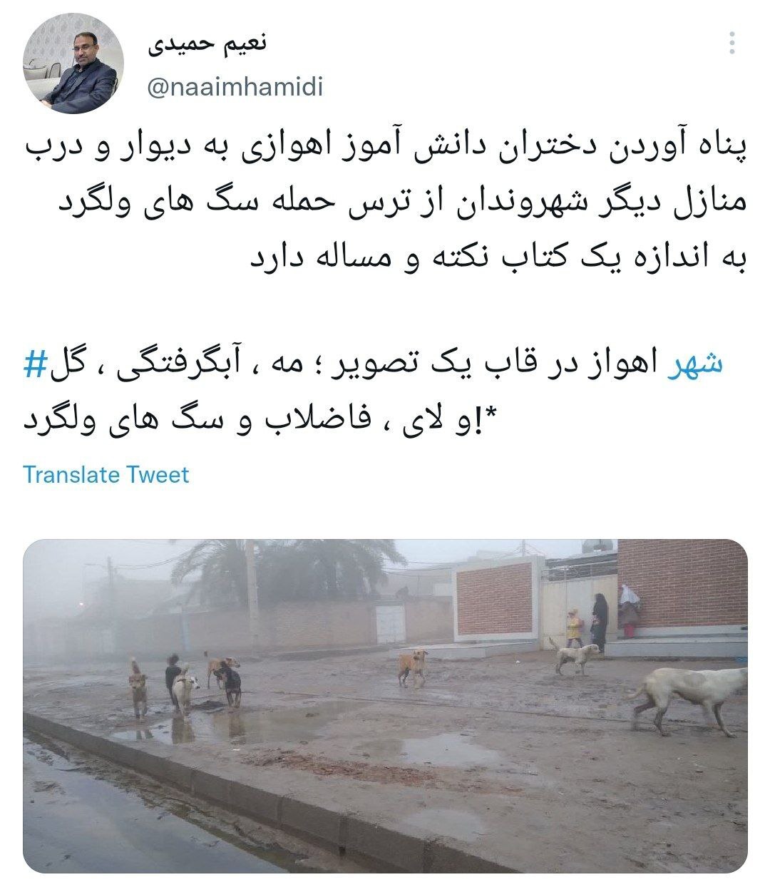 پناه آوردن دختران نوجوان از ترس سگ‌های ولگرد
