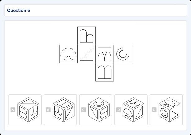 با این ۵ معما منطق و استدلال خود را به چالش بکشید