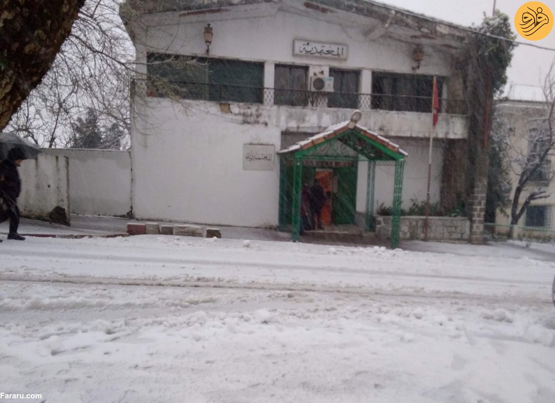 (تصاویر)