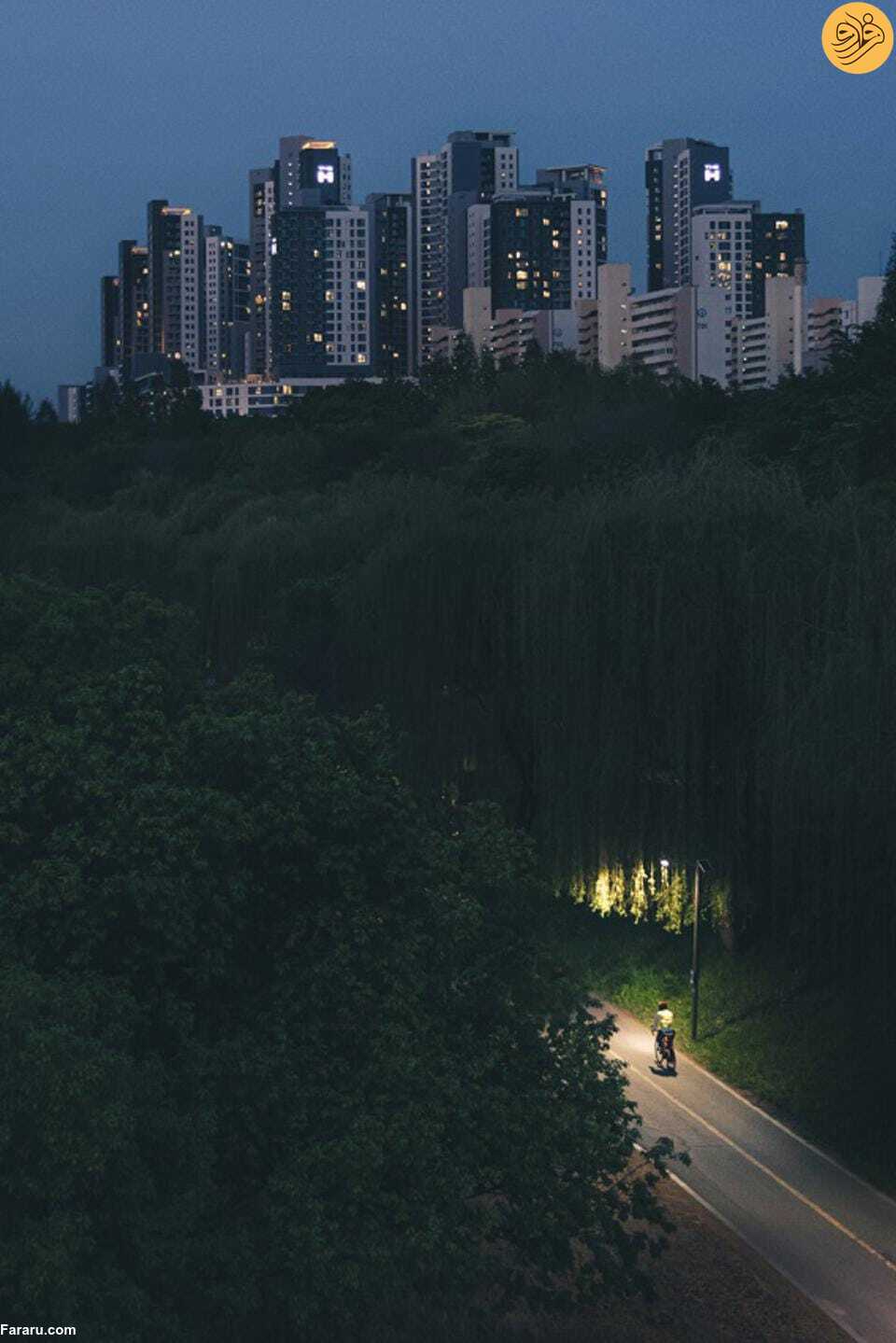 (تصاویر)