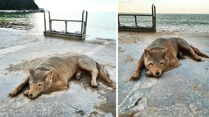 شگفت‌انگیزترین مجسمه‌هایی که با واقعیت مو نمی‌زنند