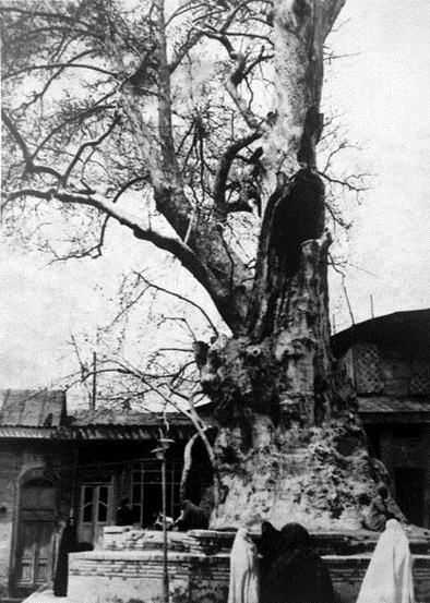 امامزاده صالح