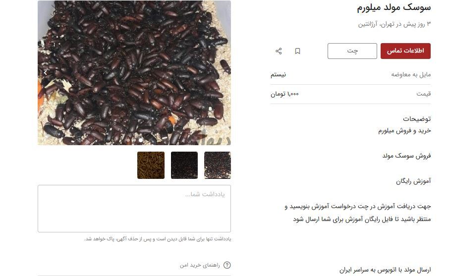 سوسک هم قیمتی شد / ۲۰ هزار عدد ۵ میلیون تومان!