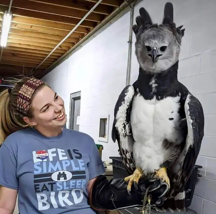 چهره ترسناک این پرنده غول‌پیکر هوش را از سر می‌پراند!