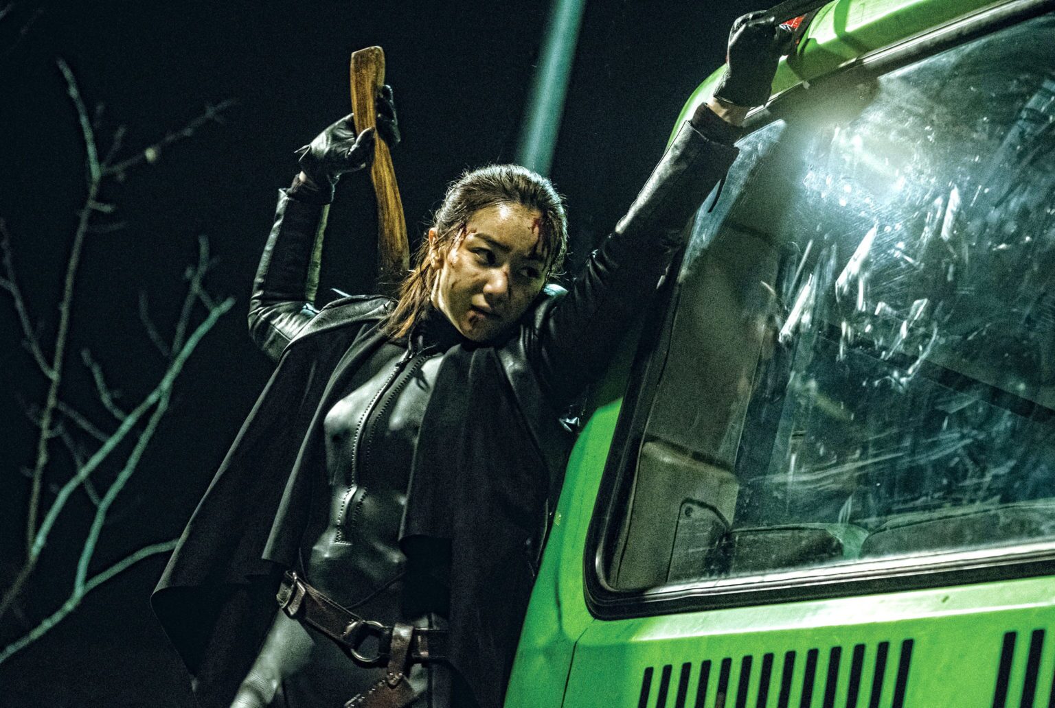 The Villainess