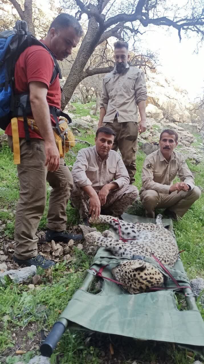 (عکس)