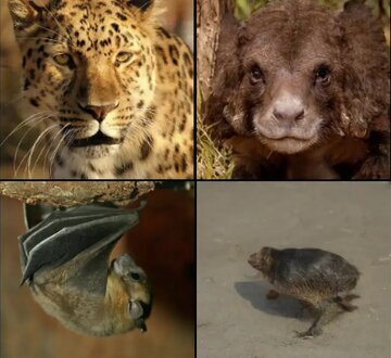 (تصاویر) شگفت انگیزترین یافته درباره ترسناک‌ترین پیشرفت جدید بشر!