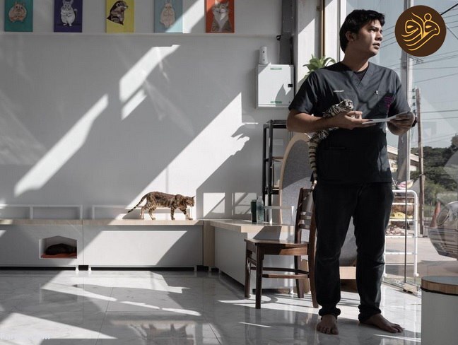 زیستگاه عجیب: تجارت پر رونق حیوانات خانگی عجیب و غریب در تایلند/ ترجمه //////////