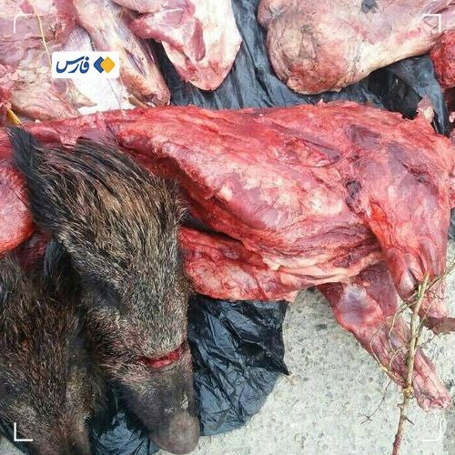 خط داغ اخبار روز شنبه ۱۹ فروردین ۱۴۰۲