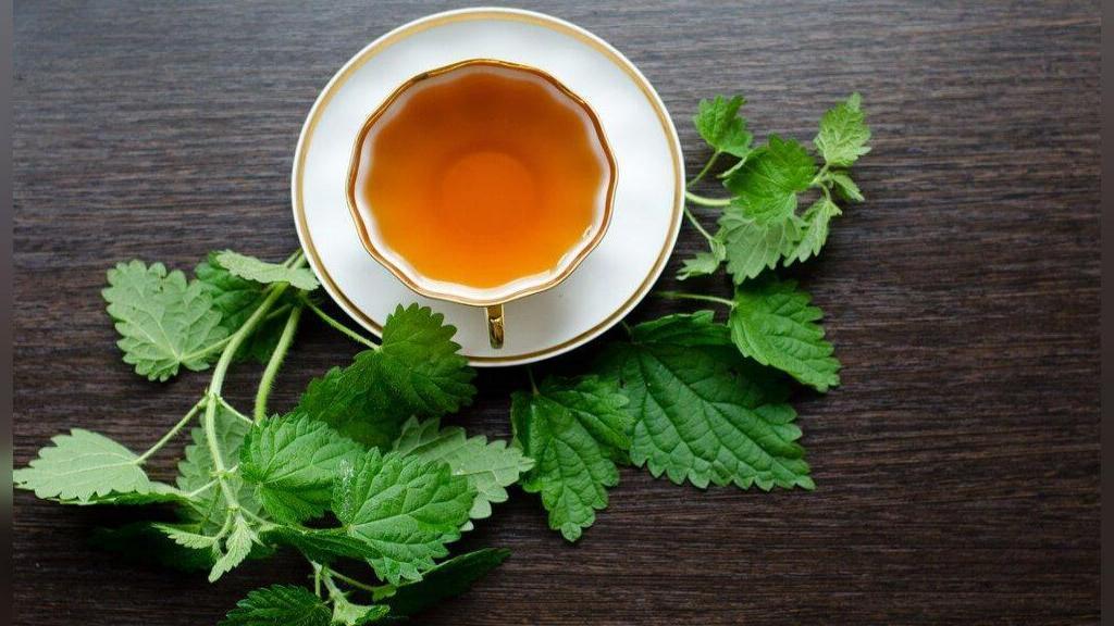 ۷ دمنوش موثر در رفع حساسیت‌های فصلی