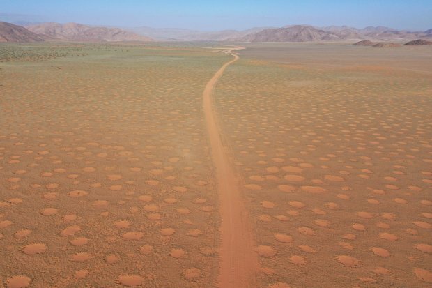 (عکس) رازگشایی از دایره‌های جنی سرزمین بومیان استرالیا!