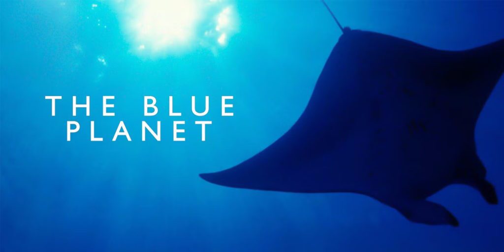 ۱۰ مستند برتر تاریخ در مورد حیات وحش و طبیعت؛ از The Blue Planet تا Our Planet