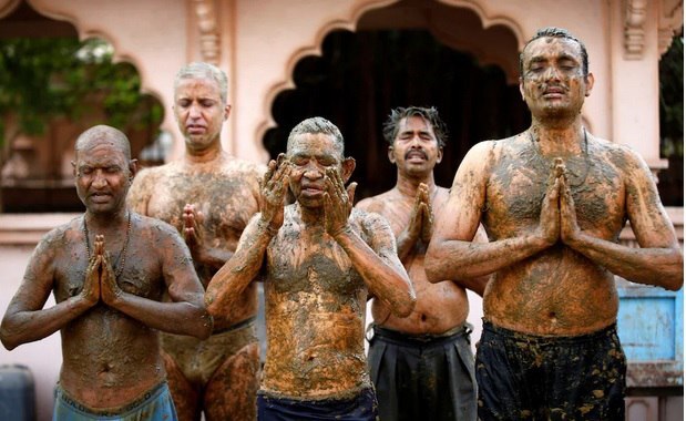 نوشیدن ادرار گاو مضر است پس چرا مردم در هند هر روز آن را مصرف می‌کنند؟ / چرا علیرغم مضربودن هندی‌ها ادرار گاو را می‌نوشند؟