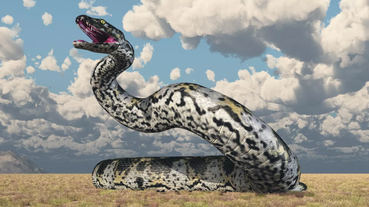cerrejonensis