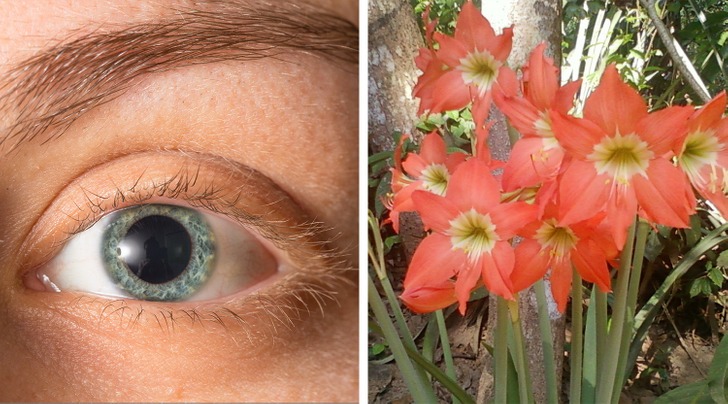 با ۱۰ مورد از عجیب‌ترین ترند‌های زیبایی تاریخ آشنا شوید