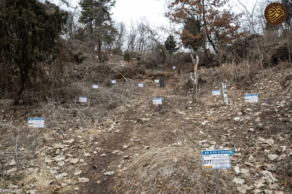جنگجویان خط مقدم در برنده شدن دلار؛ تجارت بیرحمانه سکس که برای سربازان آمریکایی ساخته شده است/ تجارت بیرحمانه جنسی که برای سربازان امریکایی ساخته شده است/ راز مگو در کره جنوبی؛ تجارت جنسی برای سربازان امریکایی/ شهرکی در شمال سئول برای عیاشی سربازان امریکایی