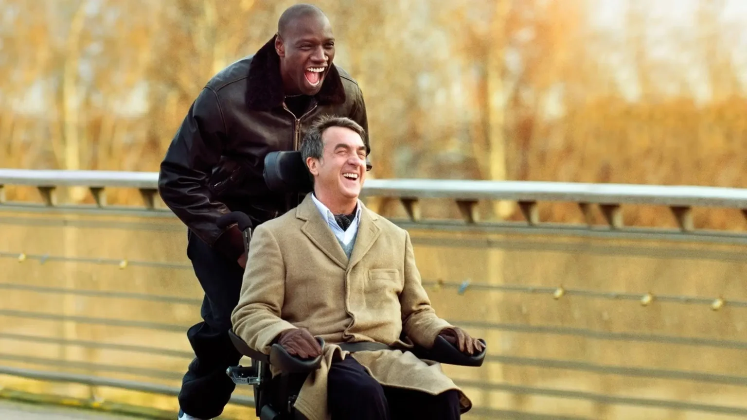The Intouchables