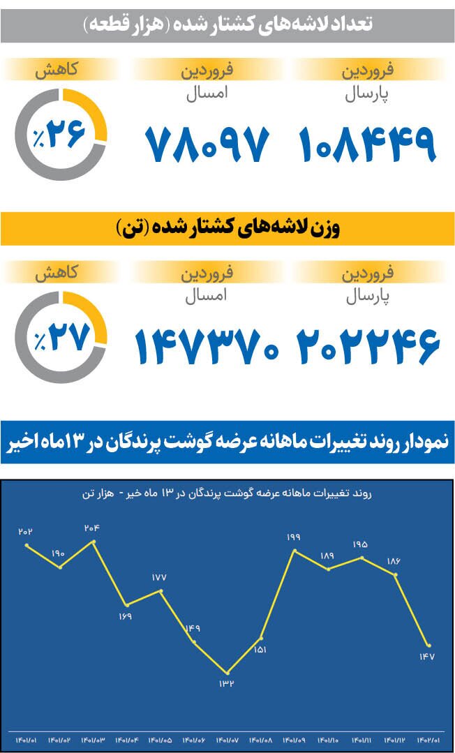 گوشت مرغ چگونه گران شد؟ / وضعیت تولید گوشت مرغ در مرغداری‌ها