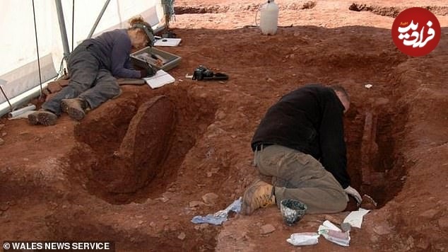 (تصاویر) کشف یک شمشیر ماقبل تاریخ در زمین کشاورزی؛ کاشف به یک میلیون پوند رسید