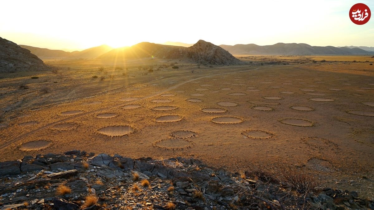 (تصاویر) رمز و راز «حلقه‌های ارواح» در صحرا‌های جهان