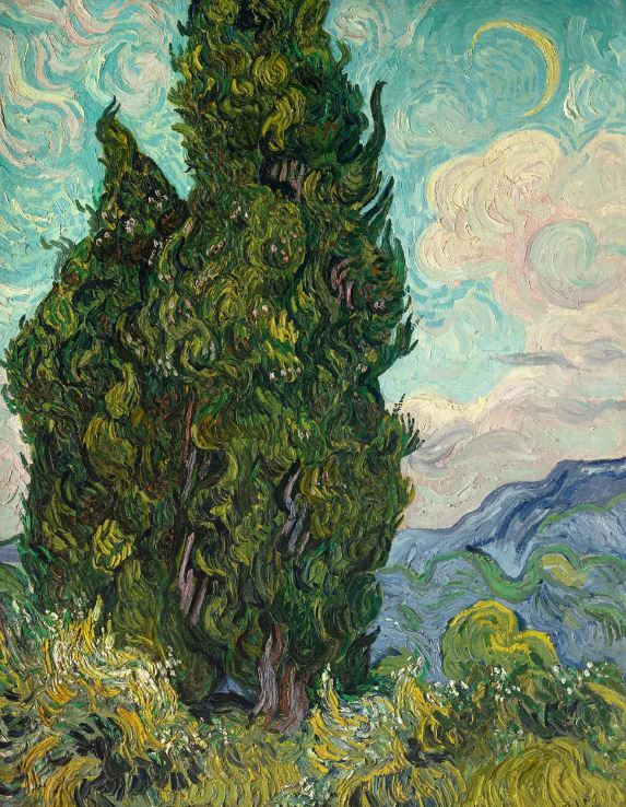 از شب پر ستاره تا گندمزار: تاریک‌ترین نمادهای ون گوگ/