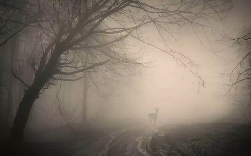 ۲۰ نقطه ترسناک ایران