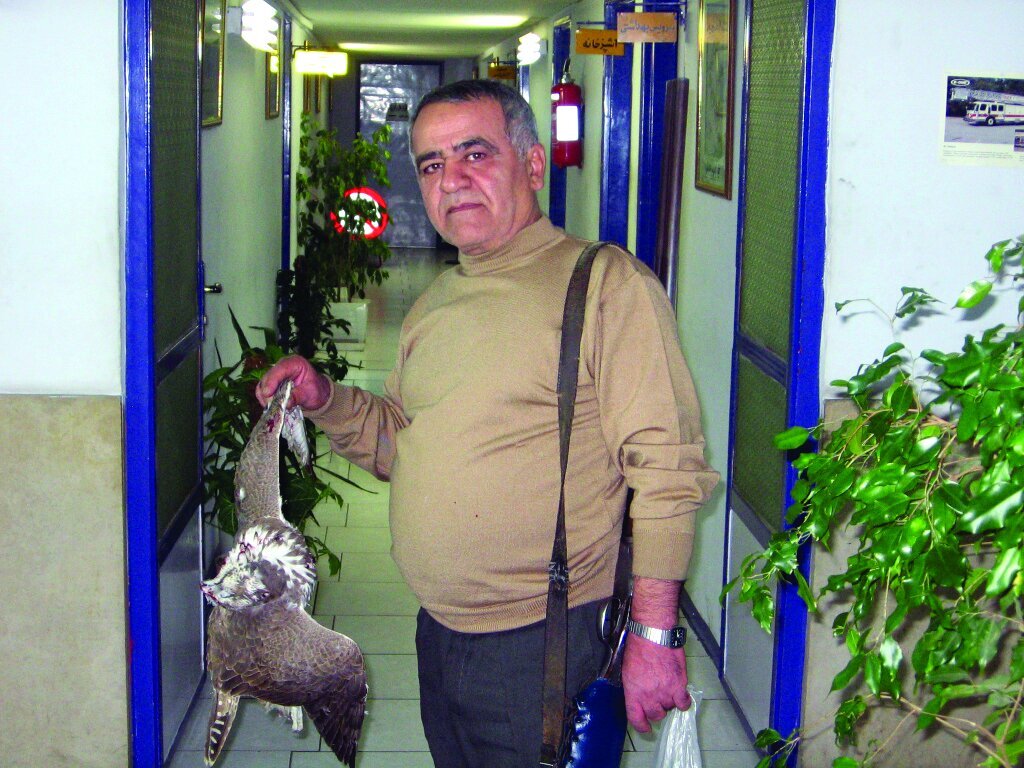 (عکس) شغل، شکارچی فرودگاه مهرآباد؛ این عجیب‌ترین شغل دنیاست