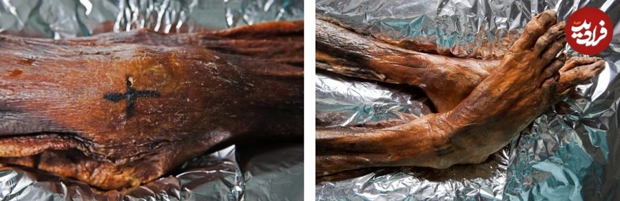 تاریخ باستانی «خالکوبی»؛ مومیایی‌هایی با نماد‌های رازآمیز