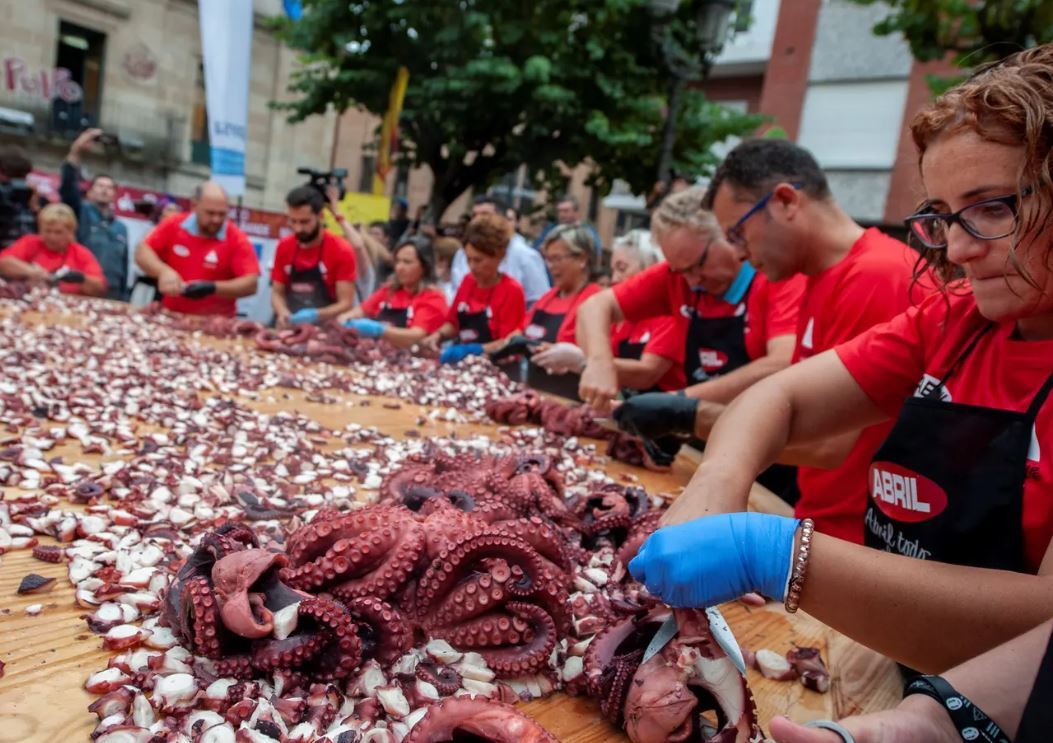 دنیای جدید پرورش اختاپوس؛ کاری که انسان‌ها نباید انجام دهند