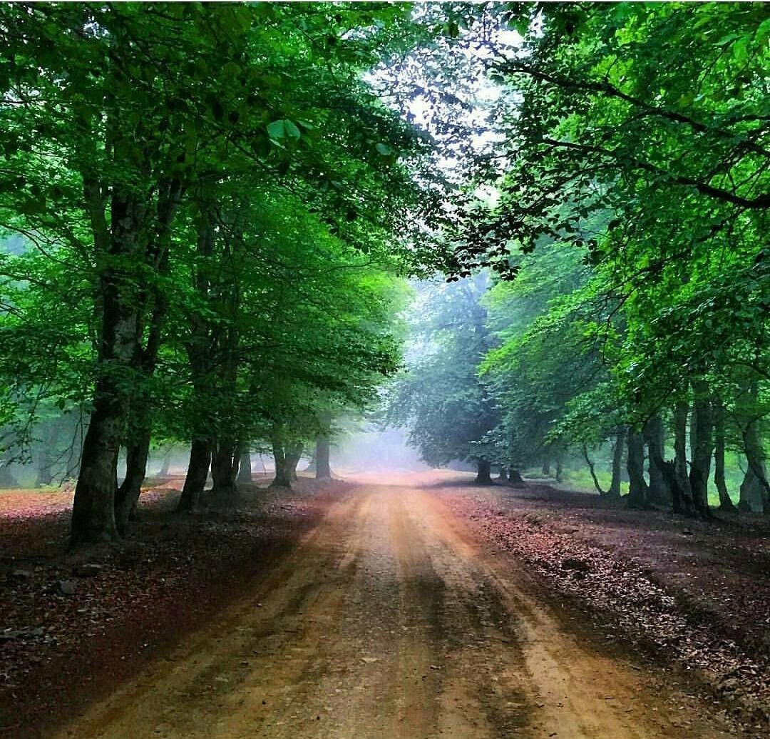 (تصاویر) برای رانندگی آفرود کجا بریم؟