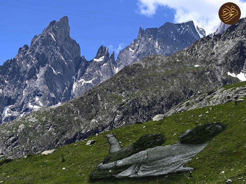 (تصاویر)