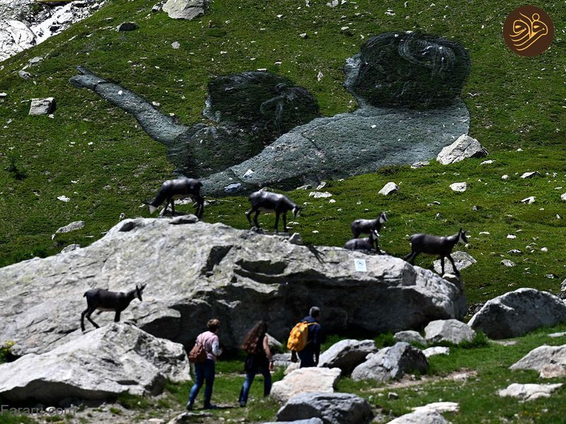 (تصاویر)