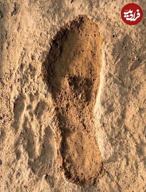 چرا ۵۰۰ سال پیش صد‌ها کودک به همراه حیوانات «قربانی» شدند؟